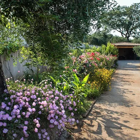Contemporary Corfu Retreat 3 Bedrooms Girasole Artful Decor Lush Garden Tranquil Setting Willa